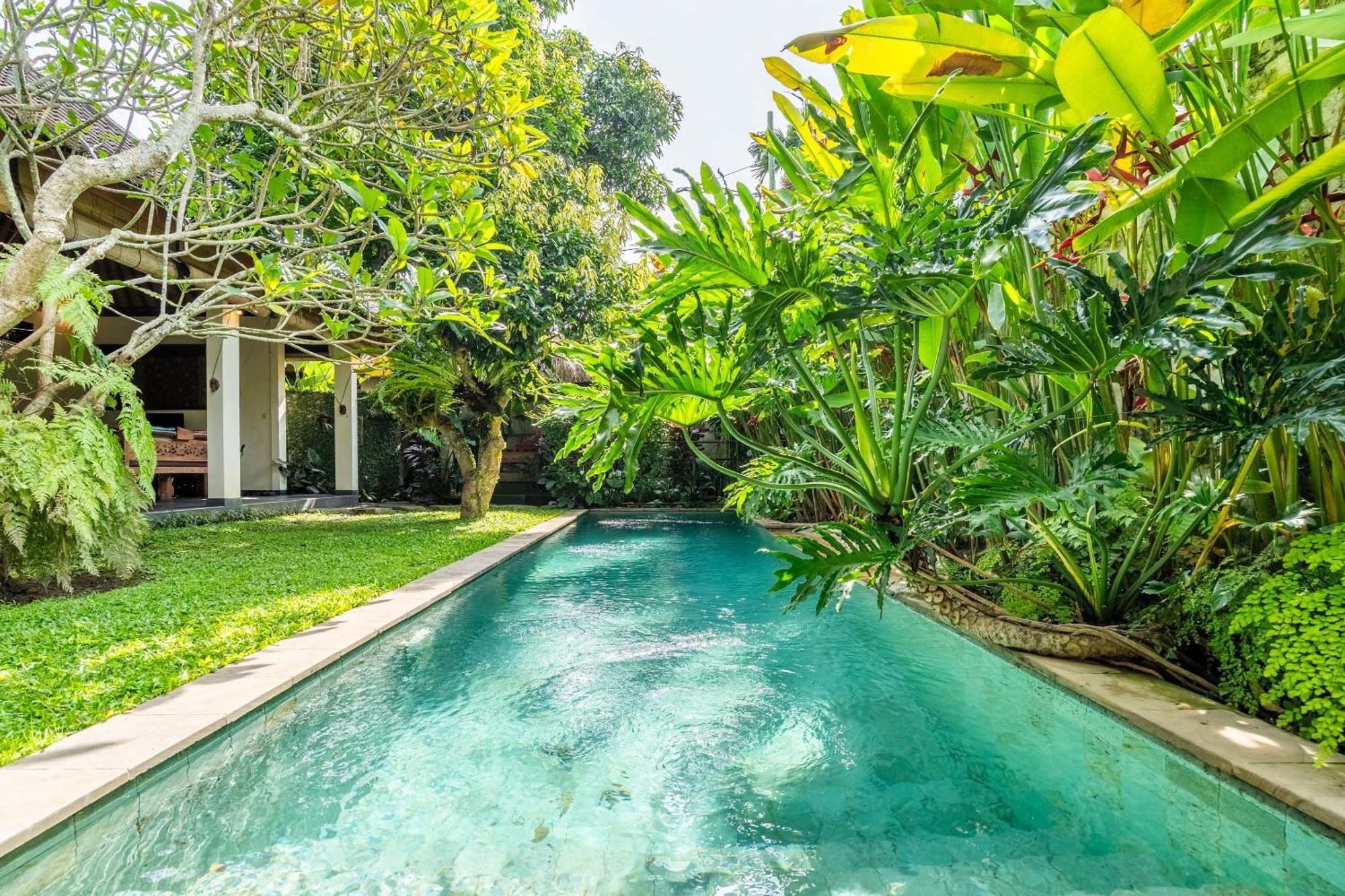 Villa Mangga Ubud Kültér fotó